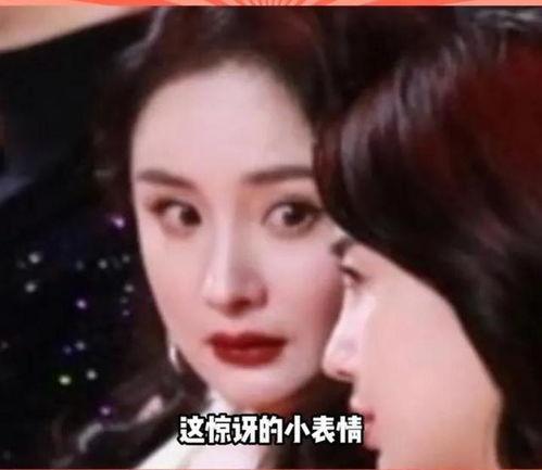 娱乐圈吃瓜系统完结,揭秘明星幕后真相，大结局揭晓！